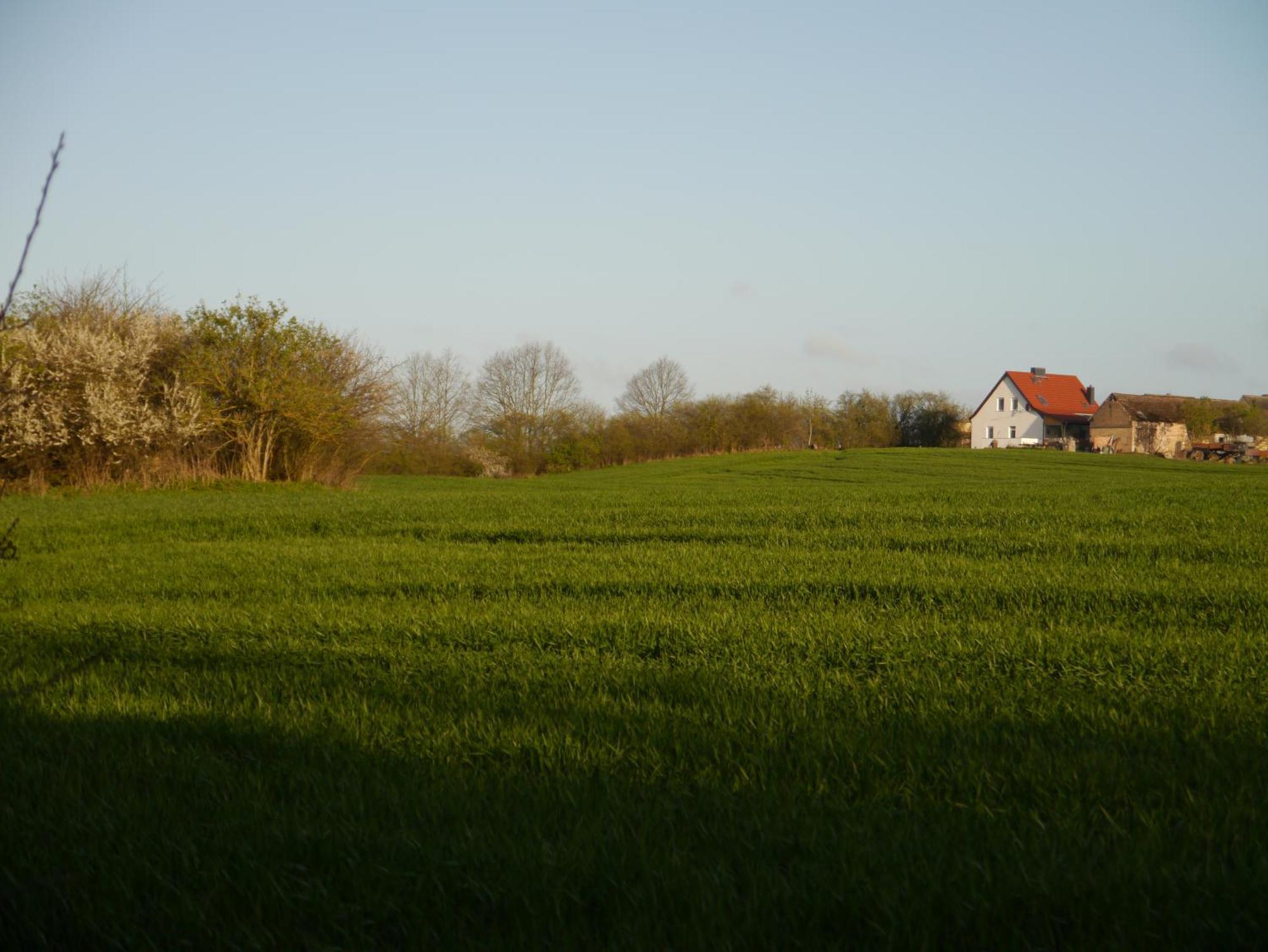 Ferienhaus-Uckermarkblick Rosenow  Extérieur photo